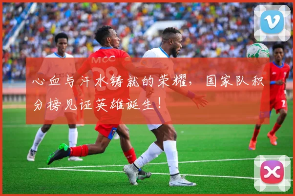 心血与汗水铸就的荣耀，国家队积分榜见证英雄诞生！