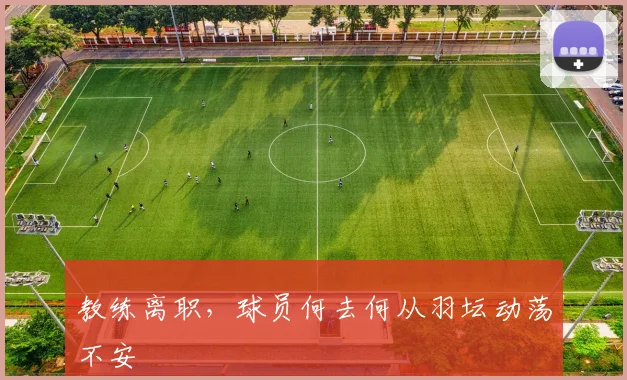 教练离职，球员何去何从羽坛动荡不安