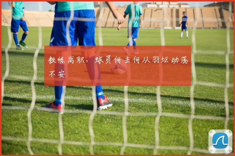 教练离职,球员何去何从羽坛动荡不安