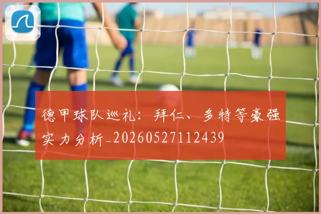 德甲球队巡礼：拜仁、多特等豪强实力分析_20260527112439