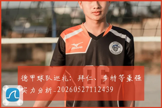 德甲球队巡礼：拜仁、多特等豪强实力分析_20260527112439