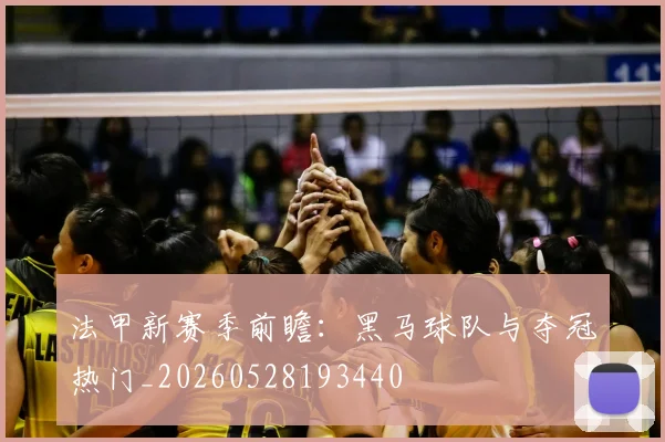 法甲新赛季前瞻：黑马球队与夺冠热门_20260528193440