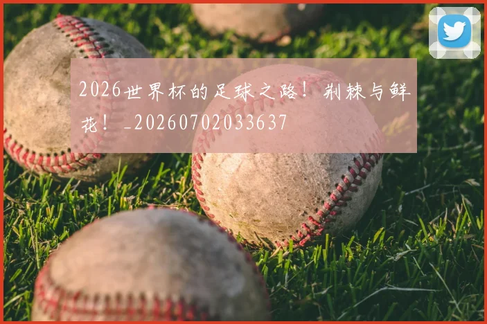 2026世界杯的足球之路！荆棘与鲜花！_20260702033637